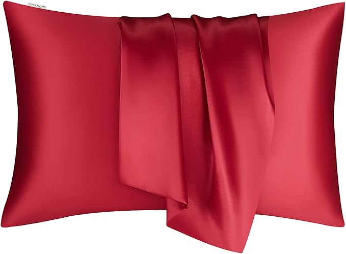 DISANGNI 100% Natural Mulberry Silk Pillow case - Image 8
