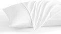 NTBAY Queen Pillow Cases Set of 2, 2 Pack Brushed Microfiber Pillow Cases by NTBAY