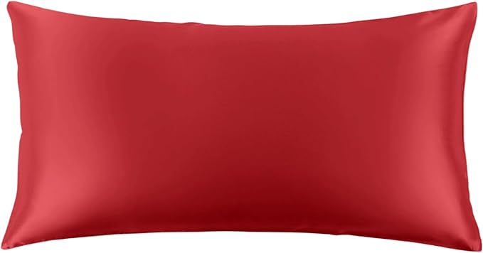 THXSILK 22 Momme Pure Mulberry Silk Pillowcase by THXSILK
