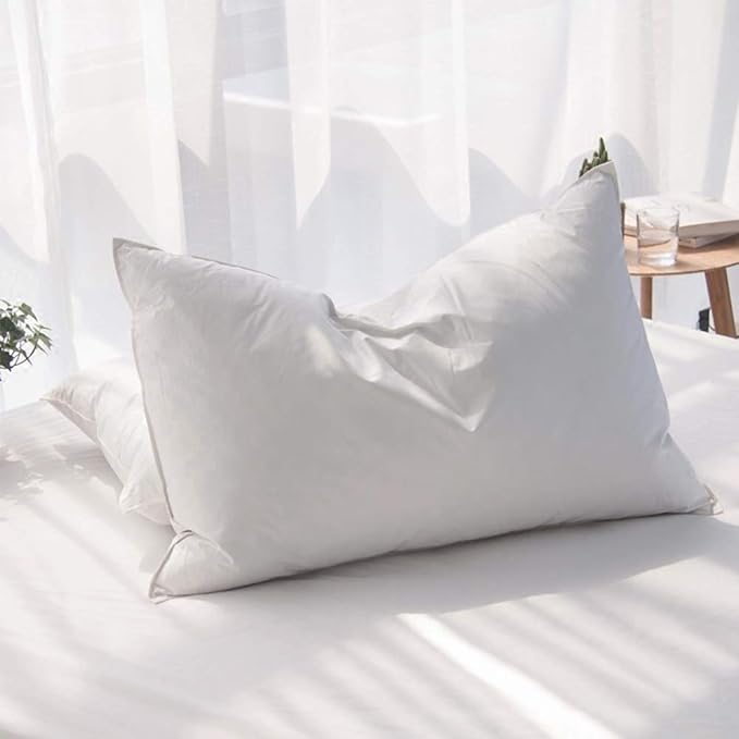 Luxury Feathers Down Pillows Queen Size Set of 2, Hotel Quality Fluffy Bed by AIKOFUL