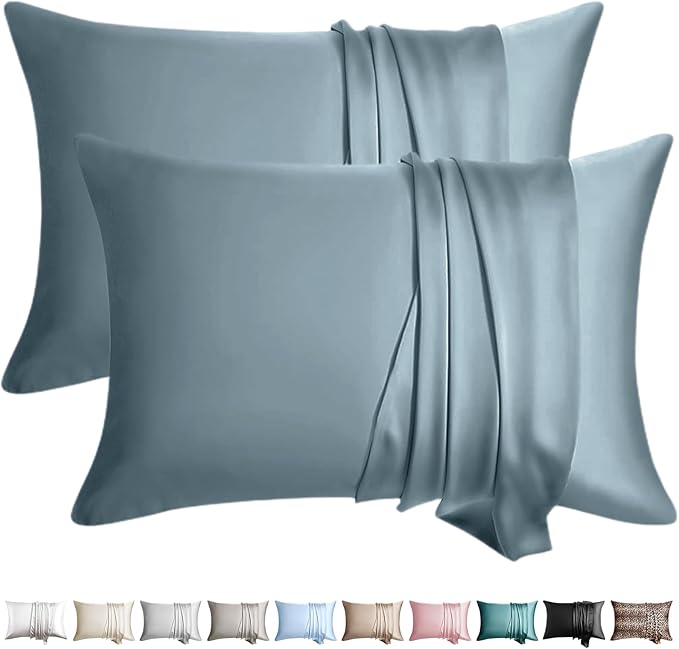 100% Silk Pillow Cases 2 Pack Standard Size Mulberry Silk Pillowcase by WLOSJ