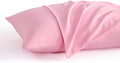 NTBAY Queen Pillow Cases Set of 2, 2 Pack Brushed Microfiber 20x30 Pillow Cases by NTBAY