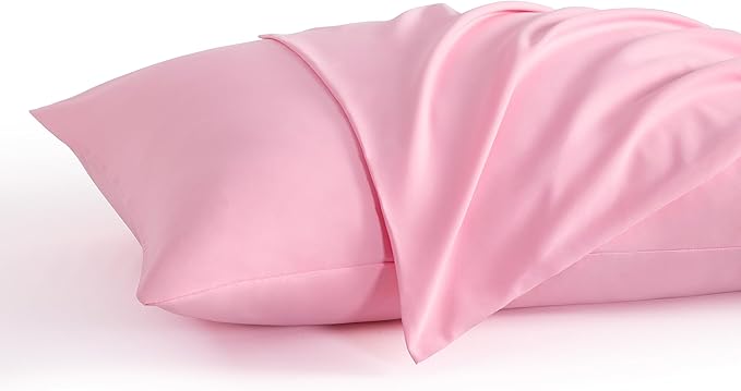 NTBAY Queen Pillow Cases Set of 2, 2 Pack Brushed Microfiber 20x30 Pillow Cases by NTBAY