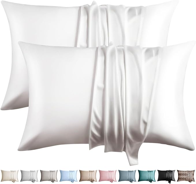 100% Silk Pillow Cases 2 Pack Standard Size Mulberry Silk Pillowcase by WLOSJ