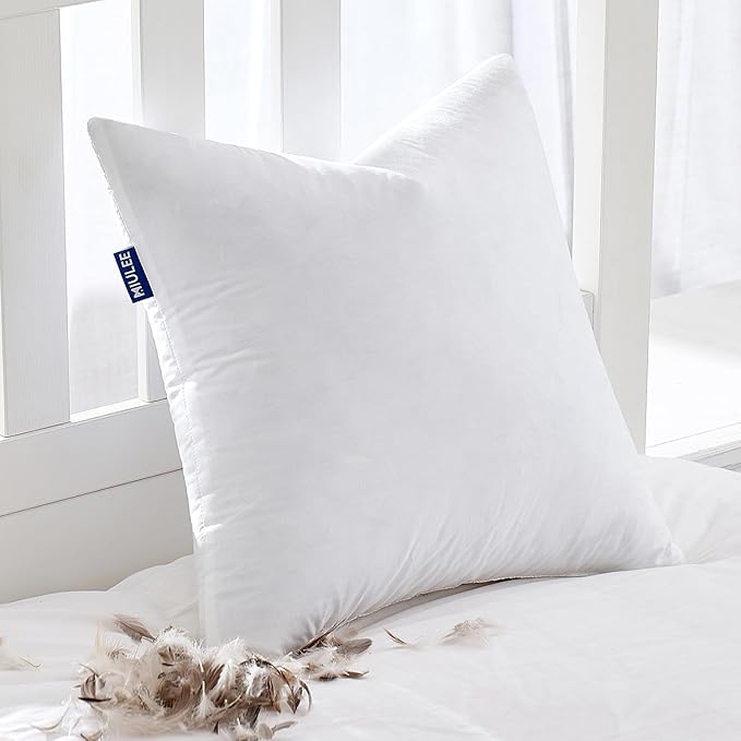 MIULEE Feather Pillow Insert 22x22, Decorative Down Throw Pillow Insert Fluffy by MIULEE