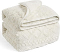 Wemore Weighted Blanket for Adults Twin Size 15 lbs, Dual Sided Soft Fuzzy by WemoreDirect