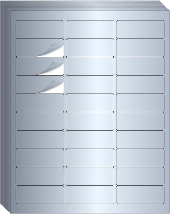 1" x 2-5/8" Address Labels- Matte Silver Mailing Labels Stickers for Laser/Inkjet Printer-Permanent Adhesive Stickers-DeskoryOffice