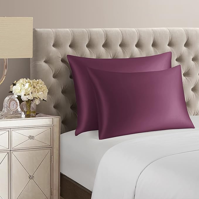 DISANGNI 100% Natural Mulberry Silk Pillow case - Image 4