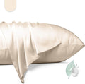 100% Mulberry Silk Pillowcase 2 Pack, Standard Size Silk Pillow Cases by Unknown