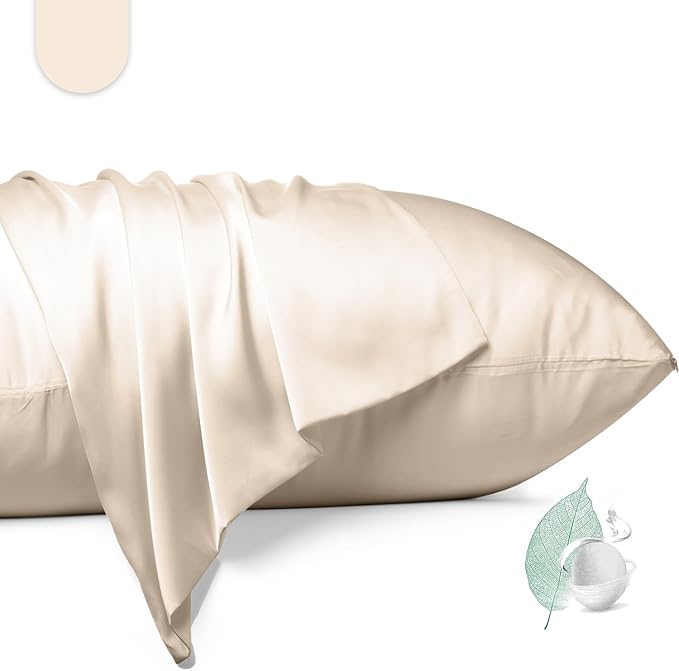 100% Mulberry Silk Pillowcase 2 Pack, Standard Size Silk Pillow Cases by Unknown
