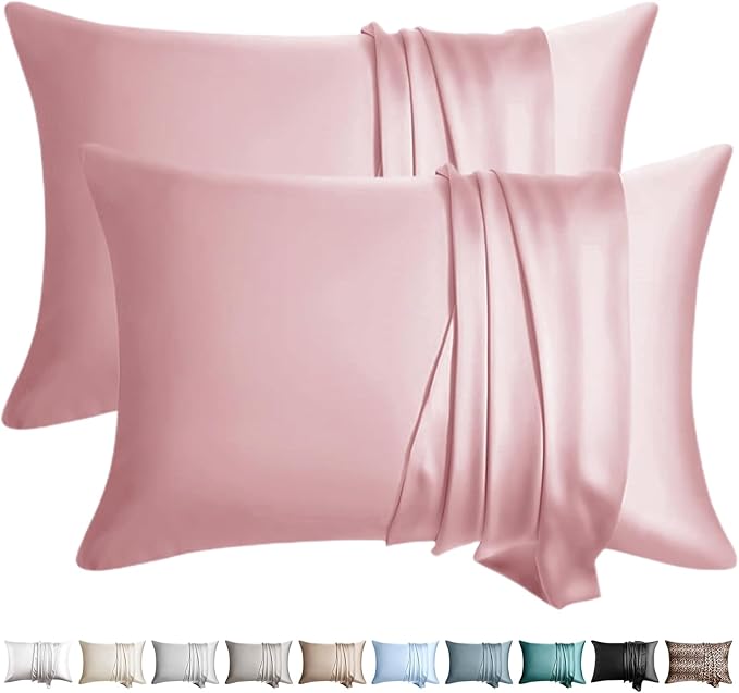 100% Silk Pillow Cases 2 Pack Queen Size Mulberry Silk Pillowcase by WLOSJ