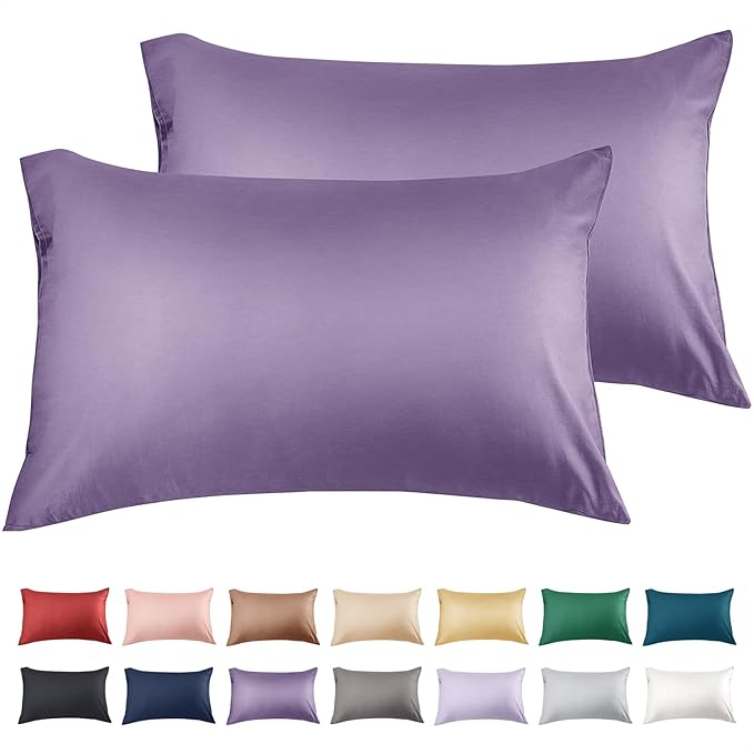 Warmstar Cotton Pillow Cases Queen Size Set of 2, 600 Thread Count Pillowcases by Warmstar