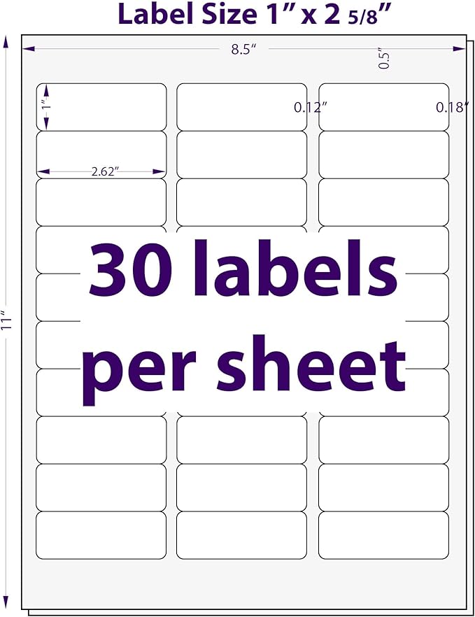 1" x 2-5/8", 100 Sheets, 3000 Mailing Address Labels, White Sticker Labels for Laser & Inkjet Printers, Permanent Adhesive-DeskoryOffice