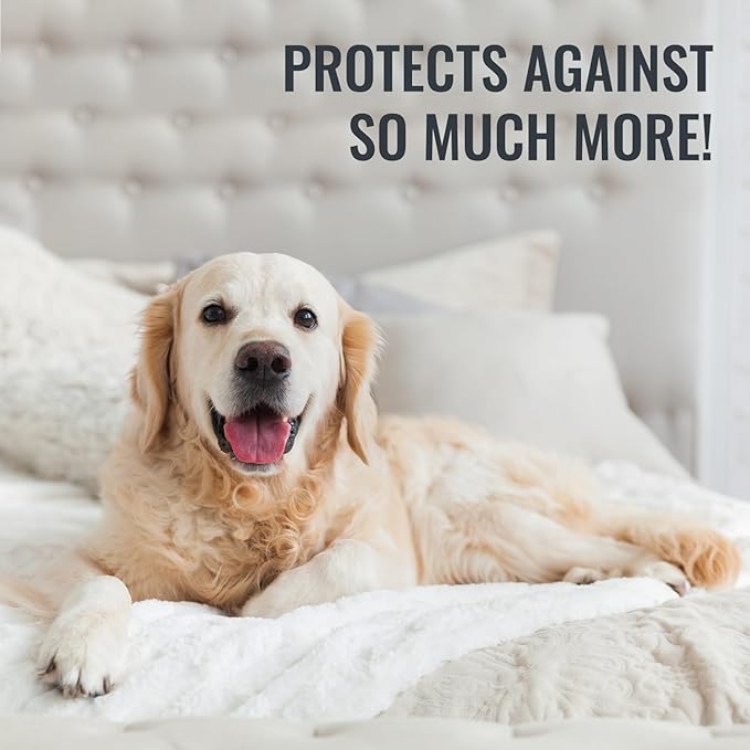 DMI Mattress Protector Queen 2 Pack - Image 7