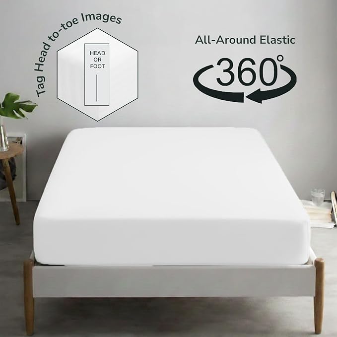 Feather & Stitch Fitted Bottom Sheet Only Queen Size 500 TC-1 Piece 100% Cotton - Image 4