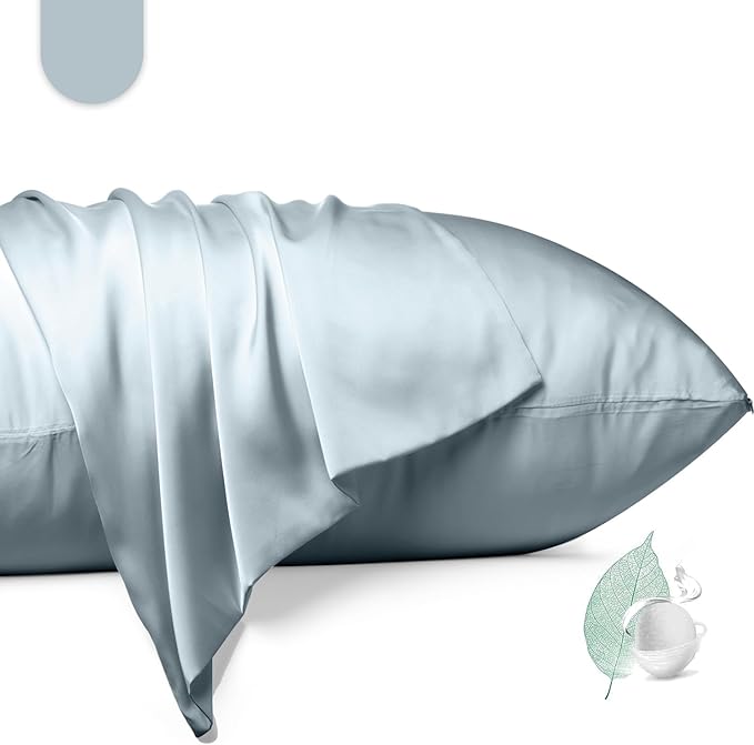 100% Mulberry Silk Pillowcase 2 Pack, Standard Size Silk Pillow Cases by Unknown