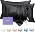 100% Silk Pillow Cases 2 Pack King Size Mulberry Silk Pillowcase Set of 2 by WLOSJ