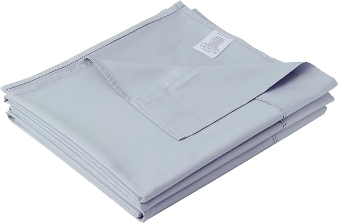 Cotton Queen Sheet Only, 600 Thread Count 100% Egyptian Cotton Top Sheet 1Pcs by ZaizaiHome