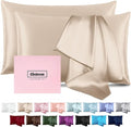 Silk Pillow Cases 2 Pack Mulberry Silk Pillow Cases Soft Breathable Both Sided by Casbrove