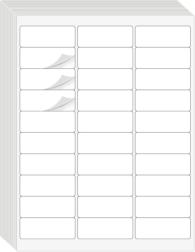 1" x 2-5/8" Address Labels 900 Labels Sticker Paper for Laser/Ink Jet Printer mailing Labels 8.5"×11" White 30 per Sheet-DeskoryOffice
