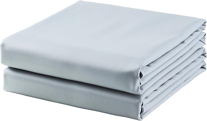 2-Pack Cotton Twin Flat Sheet Only, 600 Thread Count 100% Egyptian Cotton Top by ZaizaiHome