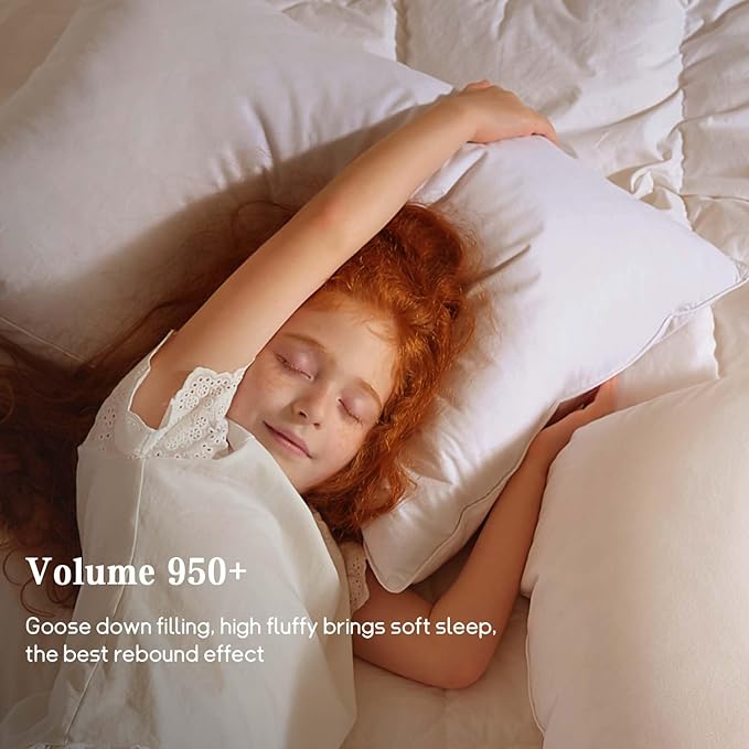 BHZ Goose Down Feather Standard/Queen Pillow, Luxury Hotel Collection Bed Pillow - Image 6