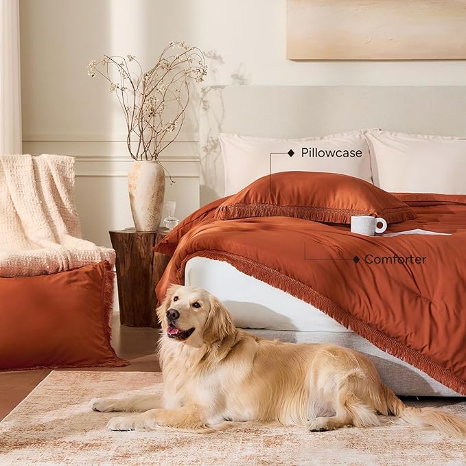 Andency Queen Comforter Set Burnt Orange, 3 Pieces Boho Terracotta Fall Tassel - Image 5