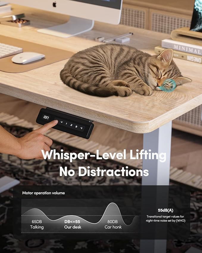 FEZIBO One-Piece Standing Desk Adjustable Height Stand up Home Office Desk, 55x24 Inch Electric Standing Computer Desk, with 4 Memory Presets, Fixable casters, Maple-DeskoryOffice