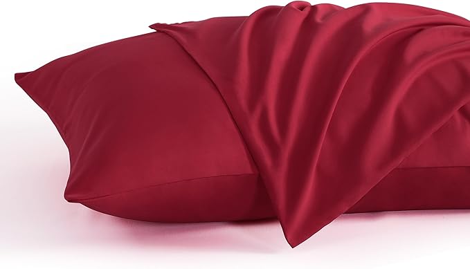 NTBAY Queen Pillow Cases Set of 2, 2 Pack Brushed Microfiber 20x30 Pillow Cases by NTBAY