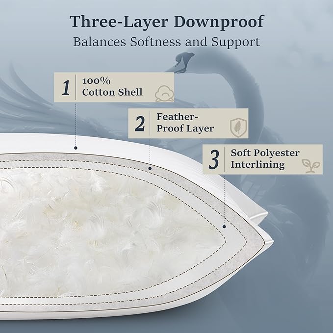 COZSINOOR Goose Feather Pillows Queen Size Set of 2 - Image 5