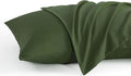 NTBAY Queen Pillow Cases Set, 2 Pack Brushed Microfiber 20x30 Inches, Olive by NTBAY