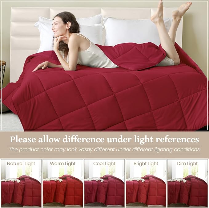 Homelike Moment Comforters Queen Size - Image 5