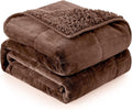 Cottonblue Weighted Blanket for Adults 20lbs Queen Size 60x80 in, Cozy Flannel by Cottonblue