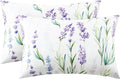 EXQ Home Satin Pillowcase for Hair and Skin Queen by EXQHomeTexitleCoLtd