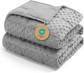 Kivik Weighted Blanket 15 lbs for Adults, Minky Dot Heavy Blankets, Microfiber by Kivik