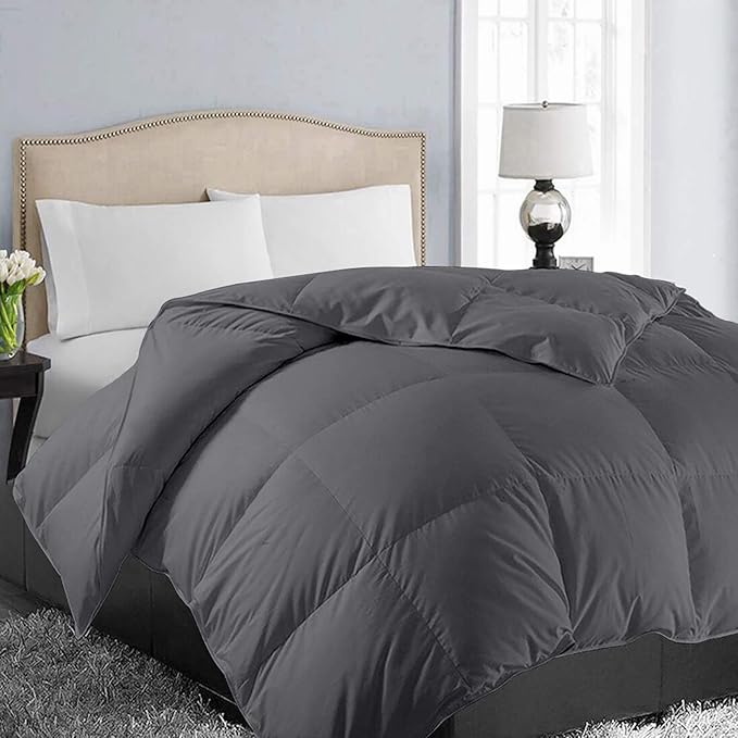EASELAND Oversized Queen Down Alternative Comforter by EASELAND