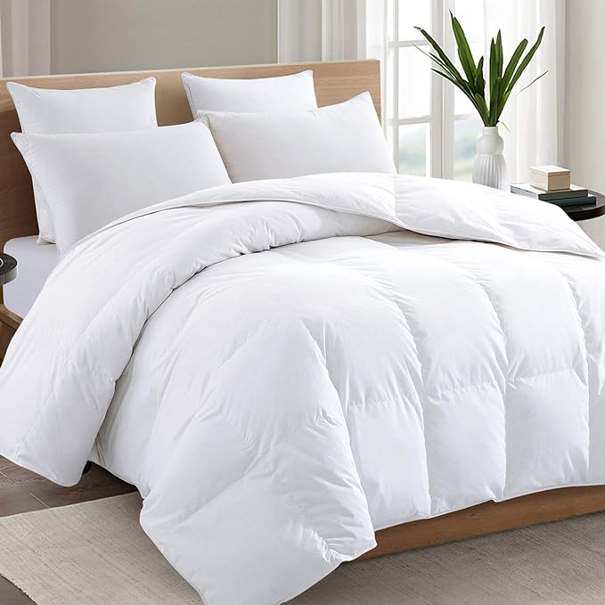 TEXARTIST Premium 2100 Series Queen Comforter All Season Breathable White by TEXARTIST