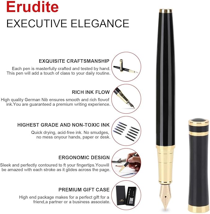 Cheericome Fountain Pen - Ink Pen for Smooth Writing - Exquisite Fountain pen gift set for Men & Women - Fountain Pen Fine Nib，Includes 10 Ink Cartridges and Ink Refill Converter - Black-DeskoryOffice