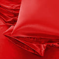 Aormenzy Satin Pillow Cases for Women King Size Set of 2, Fade Resistant by Aormenzy
