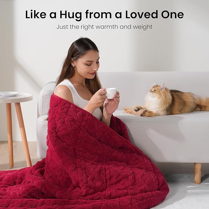 Drewin Weighted Blanket Queen Size 20 lbs, Cozy Sherpa Weighted Blankets - Image 4