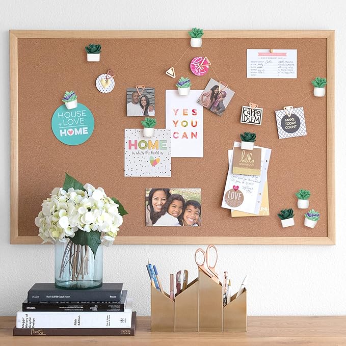 20 Pieces Cute Succulent Plants Decorative Push Pins Colorful Floret Thumbtacks for Photo Wall, Feature Wall, Whiteboard, Cork Board, Map, Bulletin Board, Office or Home (Three Assorted Styles)-DeskoryOffice