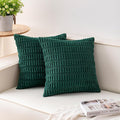 Aegero Pack of 2 Christmas Green Corduroy Decorative Throw Pillow Covers 20x20 by Unknown