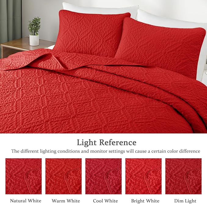 Exclusivo Mezcla Queen Quilt Bedding Set, Lightweight Soft Bedspreads Coverlets - Image 3
