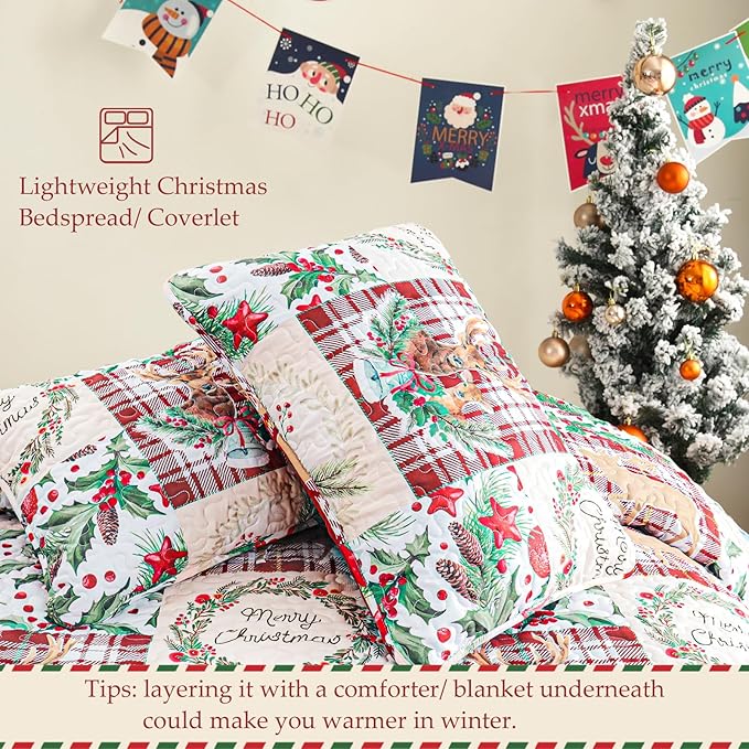 Exclusivo Mezcla Reversible Christmas Quilts Queen Size - Image 5