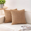 Aegero Pack of 2 Corduroy Decorative Throw Pillow Covers 22x22 Inch Soft by Unknown