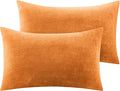 BEDELITE Flannel Pillow Cases Queen Size Set of 2, Super Soft Fleece Pillowcases by BEDELITE