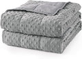 Mr. Sandman Weighted Blanket for Adults Queen, Minky Dots Heavy Blanket for by MrSandman