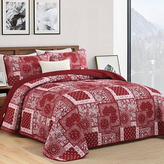 Cottolester Queen Quilt Set 3 Pieces, Soft Microfiber Boho Farmhouse Bedspread - Image 2