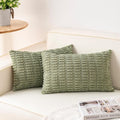 Aegero Pack of 2 Corduroy Decorative Throw Pillow Covers 12x20 InchSoft Boho by Unknown