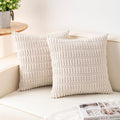 Aegero Pack of 2 Corduroy Decorative Throw Pillow Covers 16x16 Inch Soft by Unknown